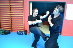 hunggarnancy-artsmartiaux-wushu-kungfu-ericbourbonnais-18juin2016-10   